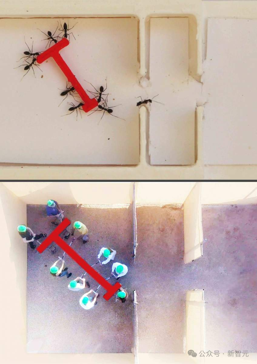 蚂蚁群组团“最强 AGI”：破解几何难题“完爆”人类，群体智能登顶 PNAS
