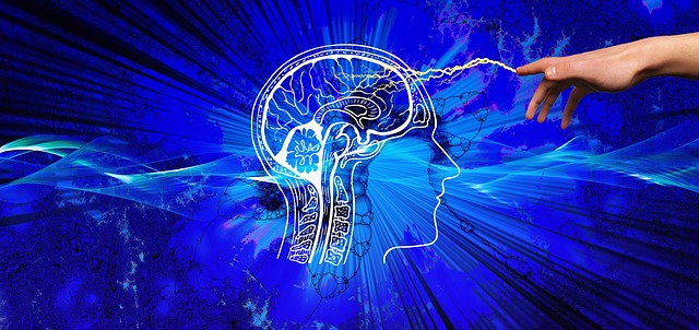 如何应对 AI“一本正经的胡说八道”？研究人员希望它会承认“我不知道”