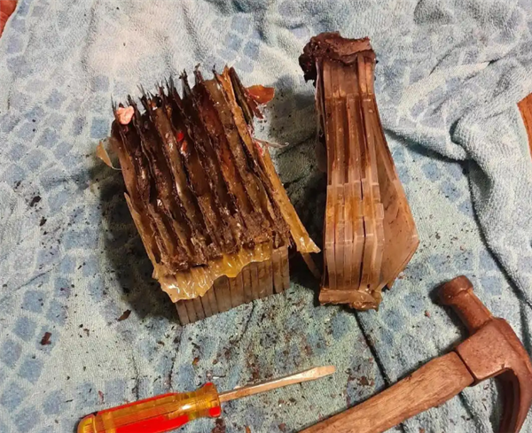Switch卡带经历火灾后毫发无损 网友感叹：仁坚强
