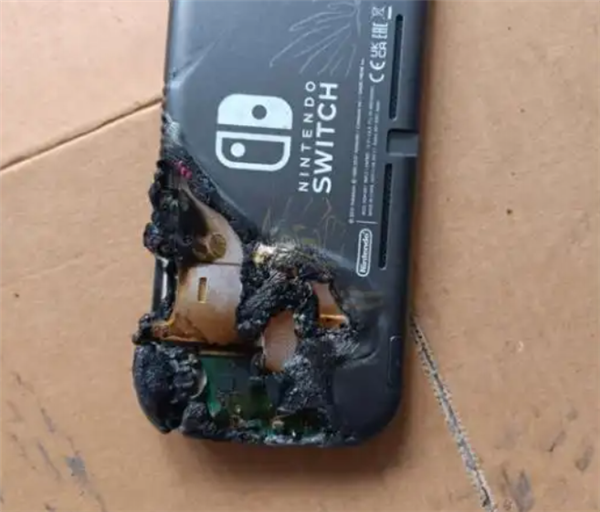 Switch卡带经历火灾后毫发无损 网友感叹：仁坚强