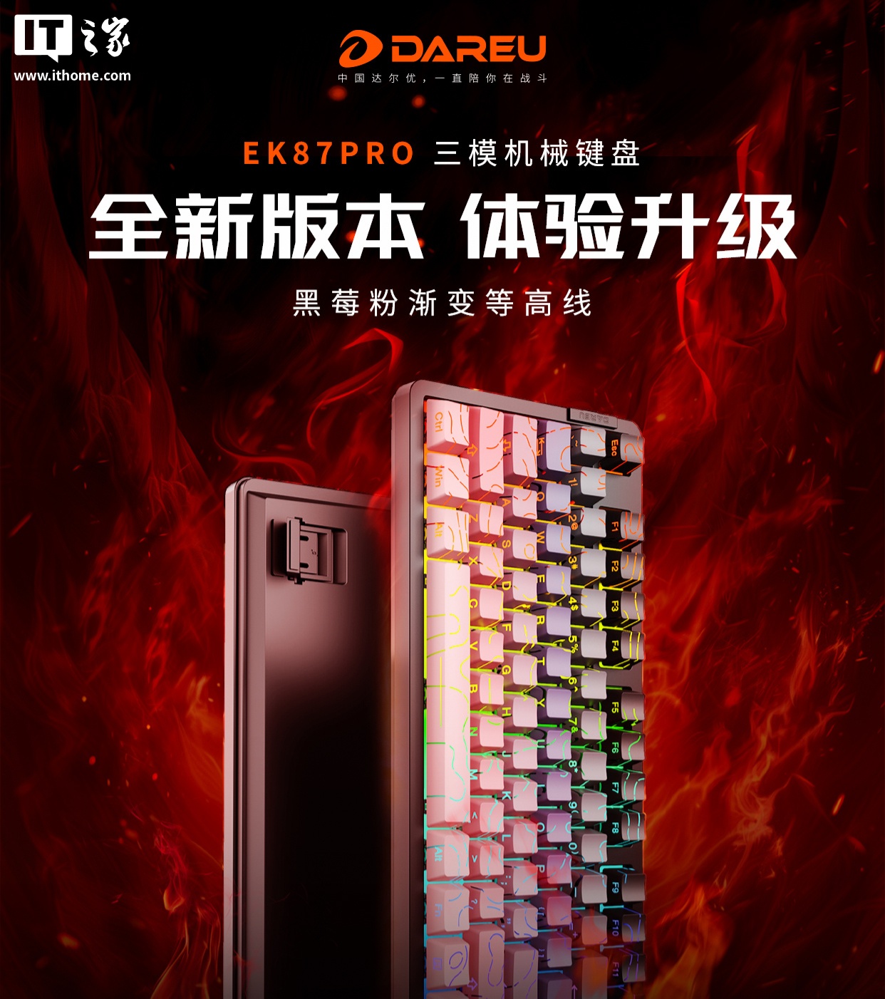达尔优 EK87Pro 键盘“黑莓粉渐变等高线”开售：搭载“桃 C 拿铁轴”，239 元
