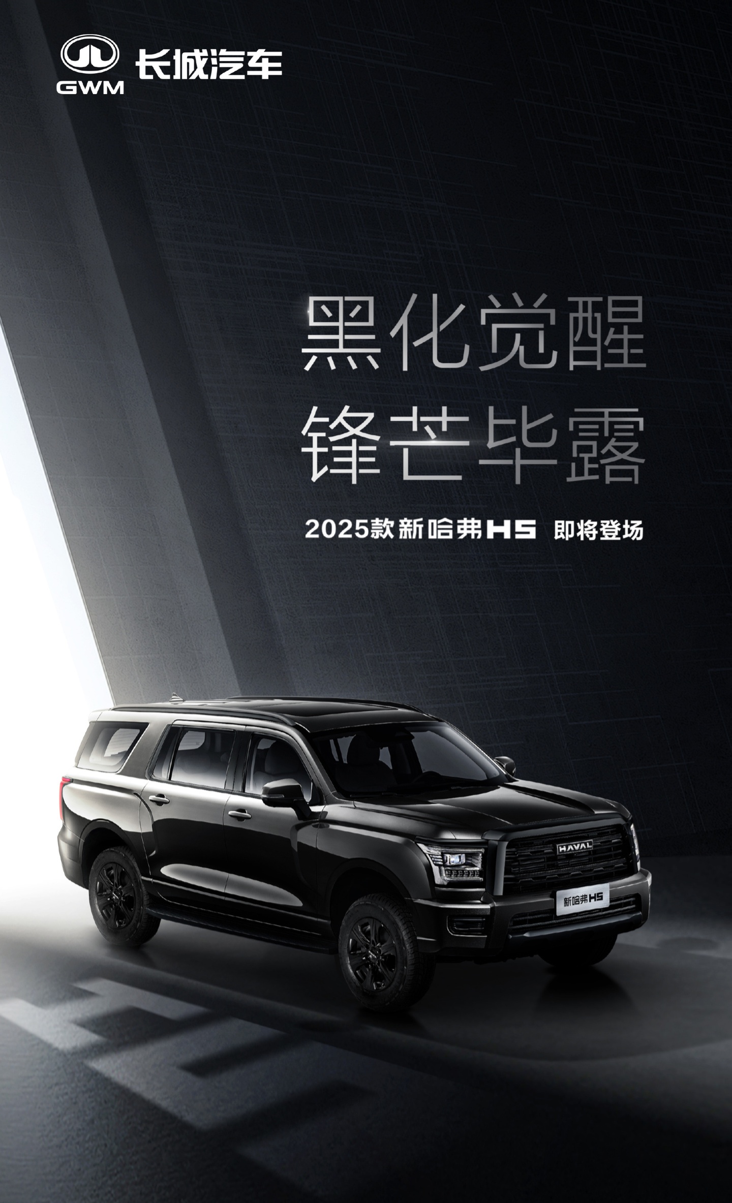 2025 款长城哈弗 H5 官图发布，全车采用黑化设计